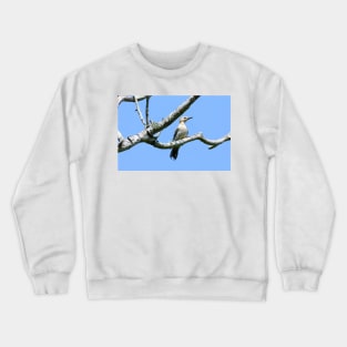 Golden-fronted Woodpecker Out On A Limb Crewneck Sweatshirt